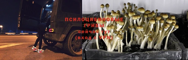 меф Алексеевка