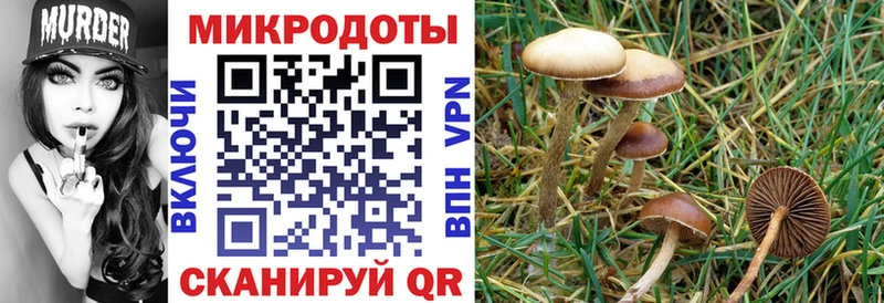 МЕГА как зайти  Североуральск  Псилоцибиновые грибы Magic Shrooms  купить  