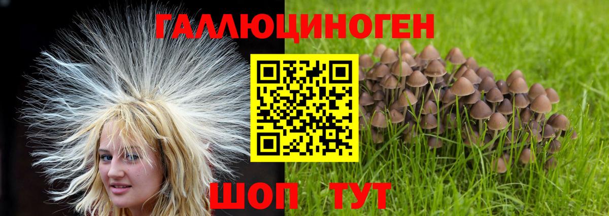 Псилоцибиновые грибы мухоморы Североуральск