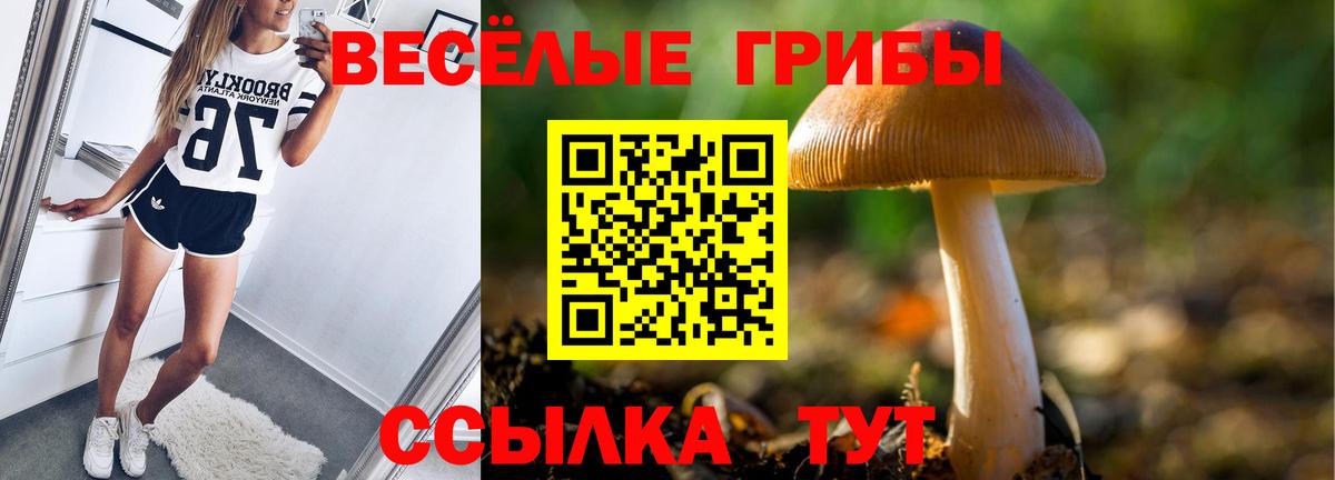 цены наркотик  Вход с VPN  Североуральск  Псилоцибиновые грибы мухоморы 